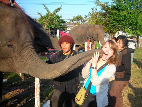 Elephant kisses